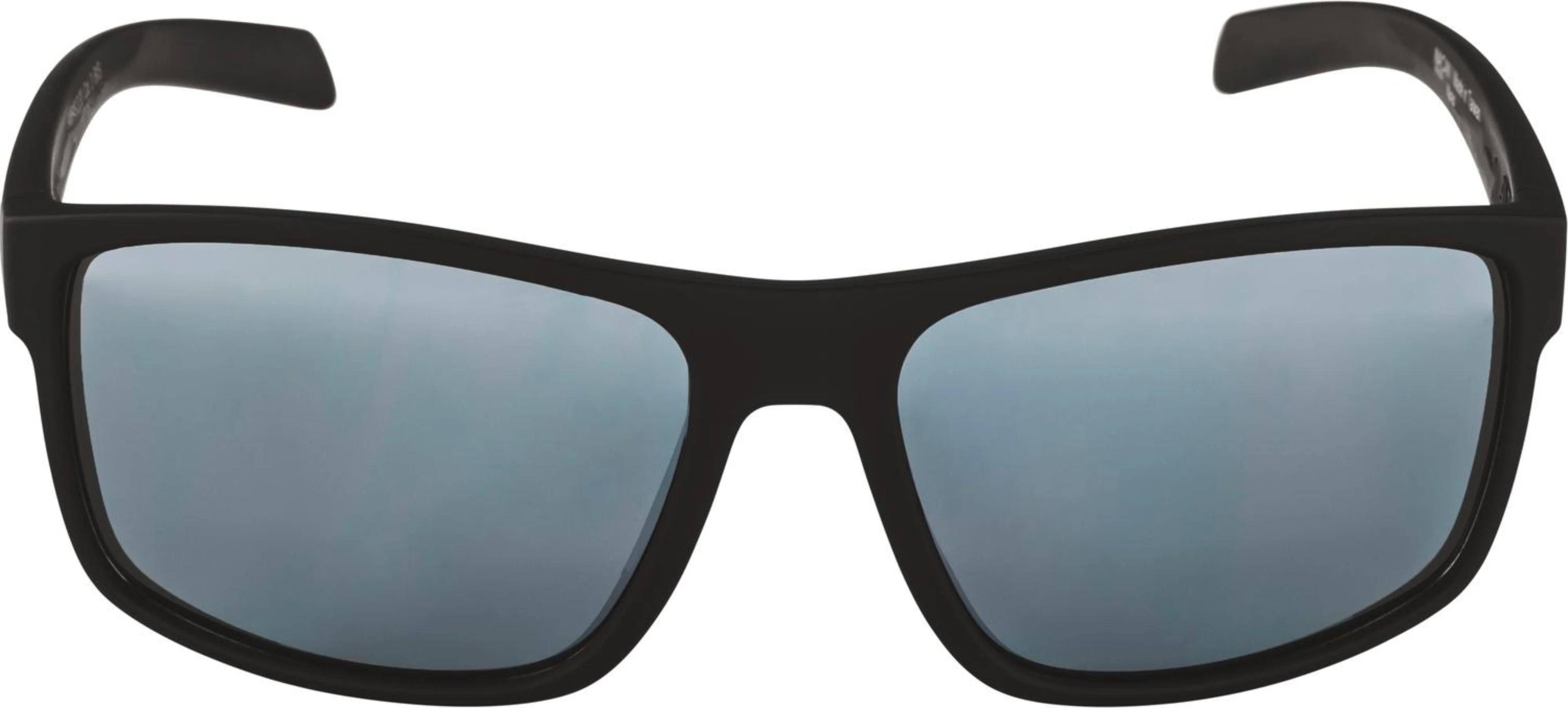 Alpina Nacan I Sonnenbrille schwarz - Image 2
