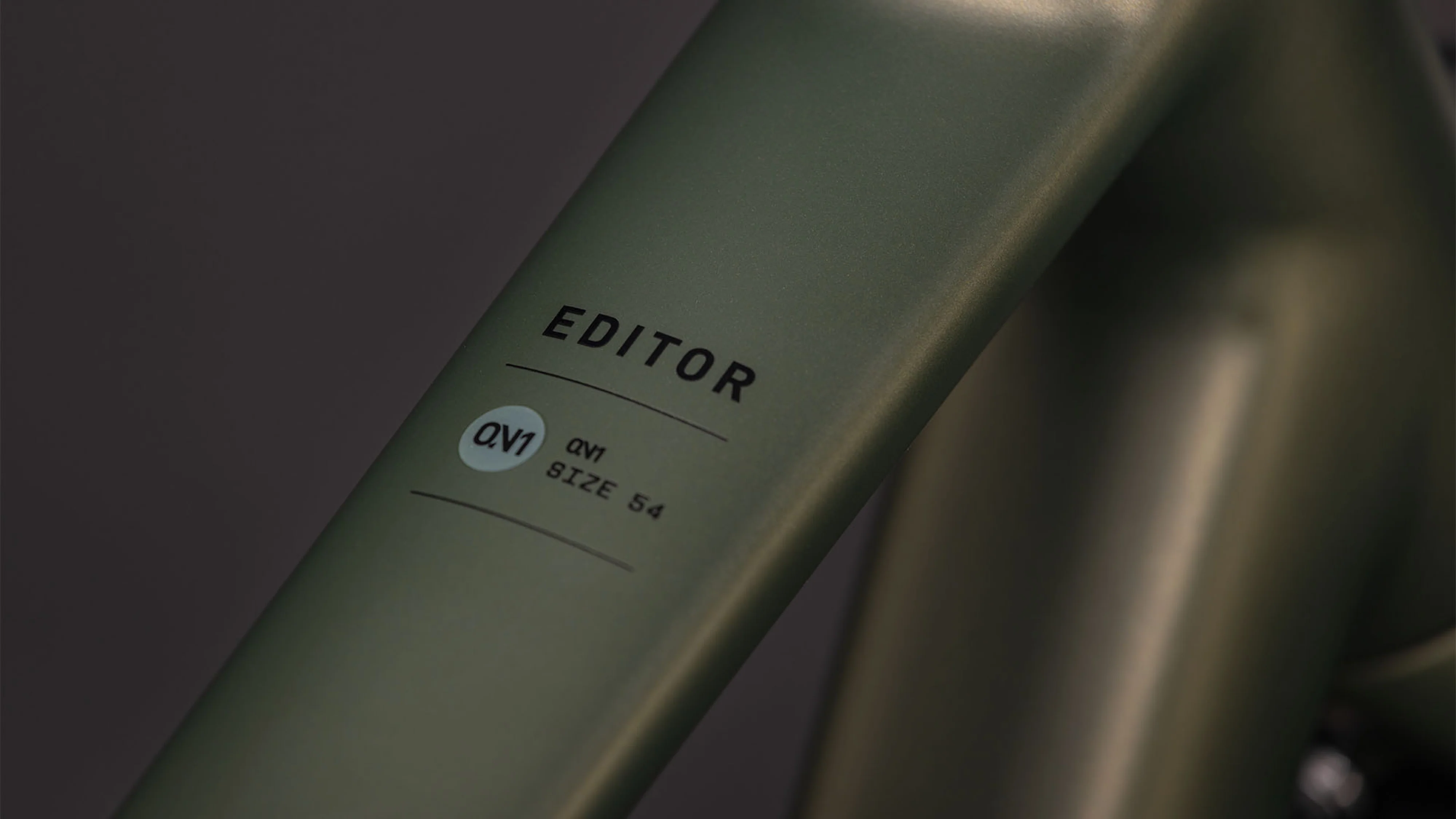 Cube Editor ONE FE Diamant reedgreen´n´black (2026) - Image 3